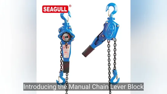 Polipasto de cadena con polea manual y bloque de palanca de 0,8 t de la marca Seagull