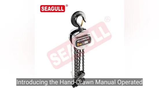 Polipasto de cadena manual de elevación Seagull de 5 toneladas con polea y bloque