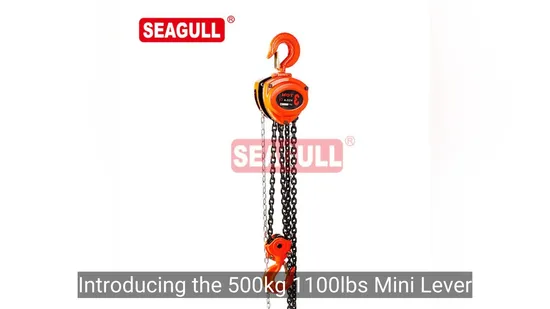 Bloque de cadena manual Seagull de 12 m y 1,5 toneladas, bloques de polea de cadena manual de 3 toneladas