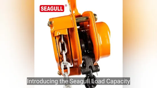 Polipasto de cadena manual Seagull de alta resistencia de 1 a 30 toneladas con polea de cadena operada manualmente