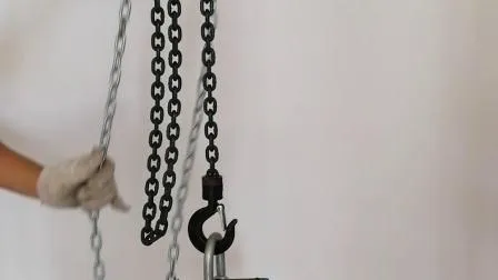 Polea de cadena manual de alta calidad con certificado TUV